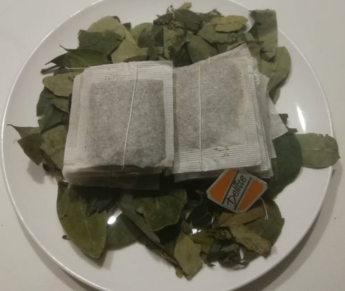 INFUSION OF COCA LEAVES, SHIPPING TO ALL COUNTRIES