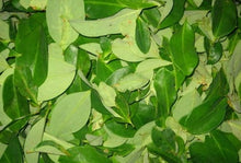 Load image into Gallery viewer, COCA LEAVES